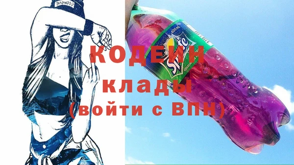 шишки Саяногорск