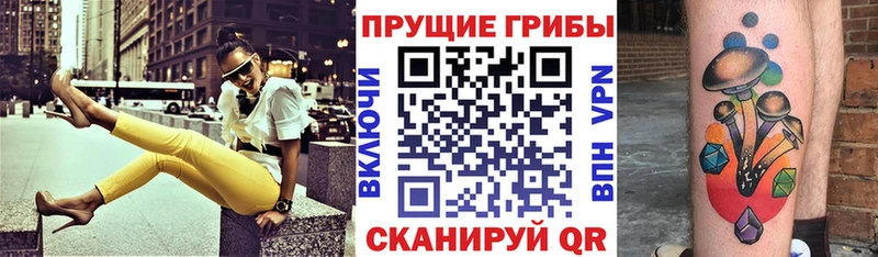 Псилоцибиновые грибы Psilocybine cubensis  Белоусово 
